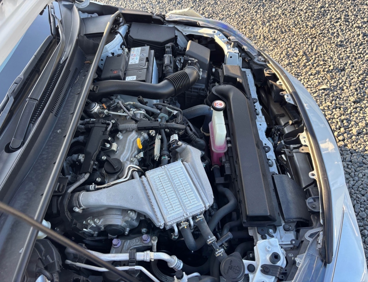 Toyota Corolla Sport 2020