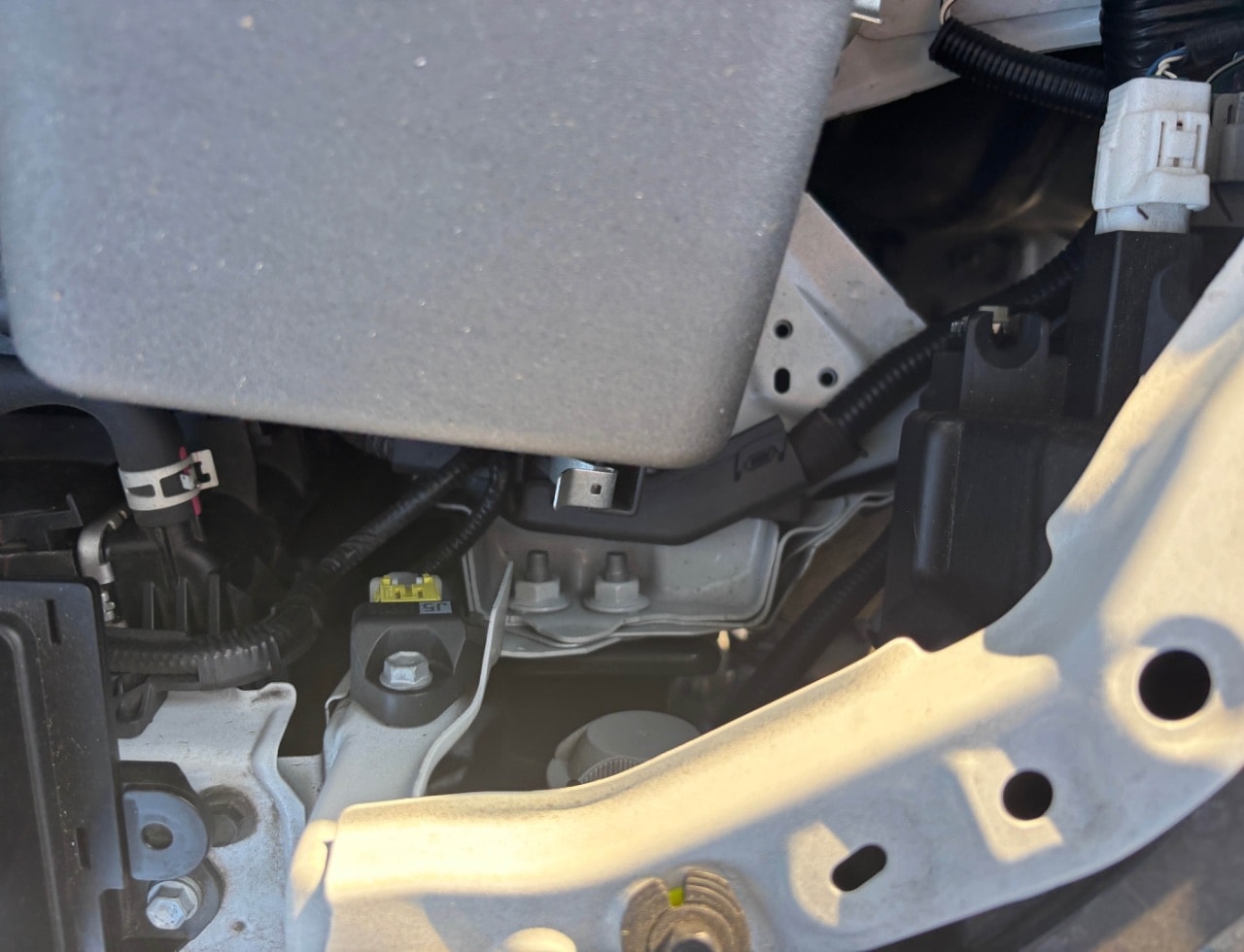 Toyota Corolla Sport 2020