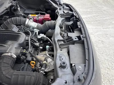 Suzuki Xbee 2019