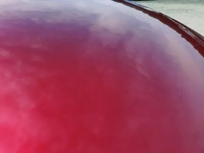 Mazda Mazda 3 Fastback 2019