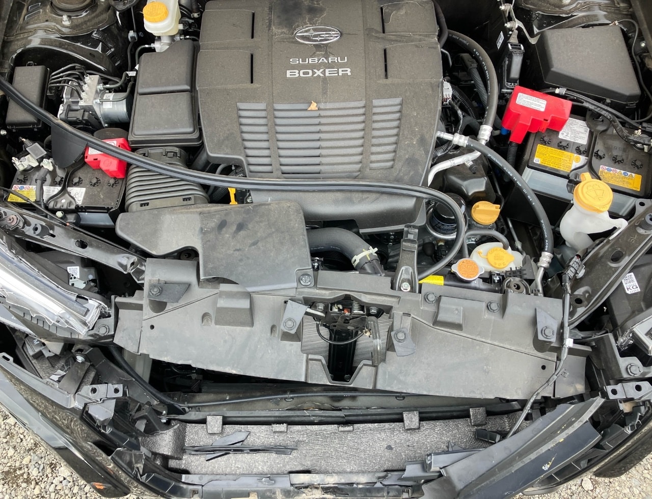Subaru Forester Hybrid 2024