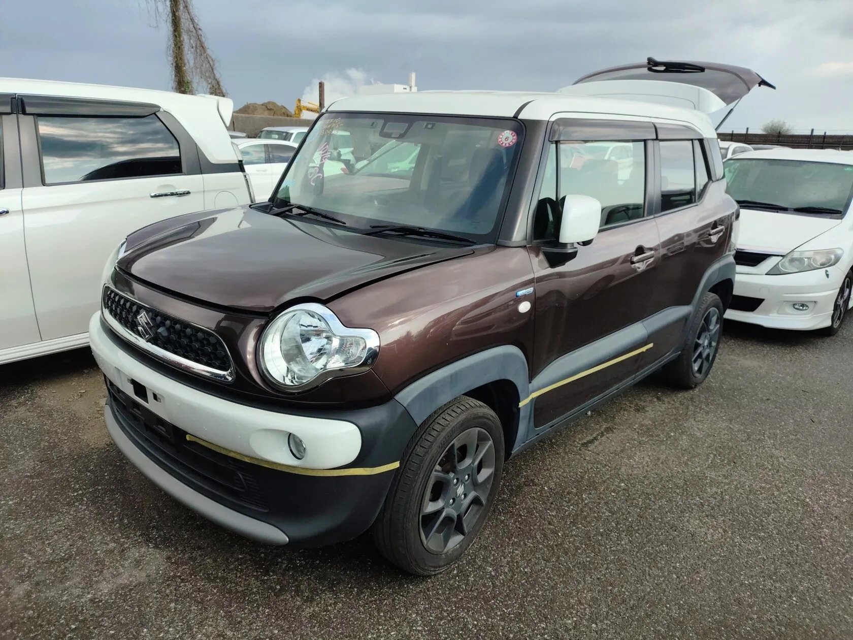 Suzuki Xbee_history