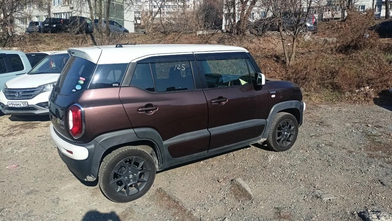 Suzuki Xbee_history