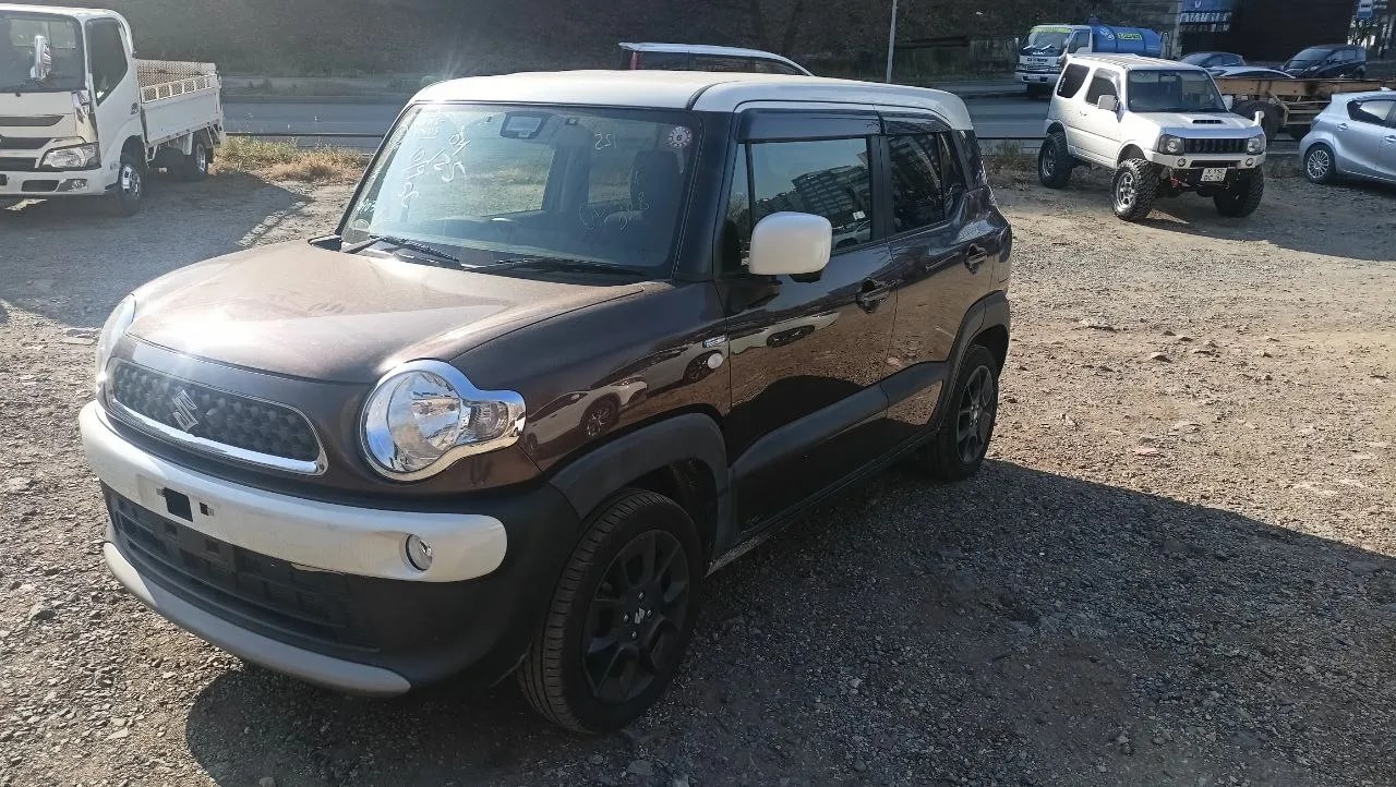 Suzuki Xbee_history